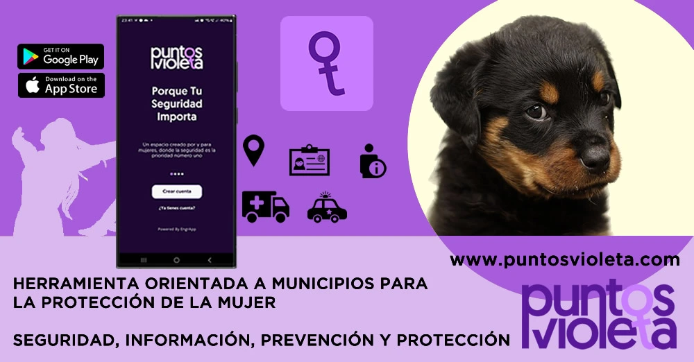 Aplicación Puntos Violeta